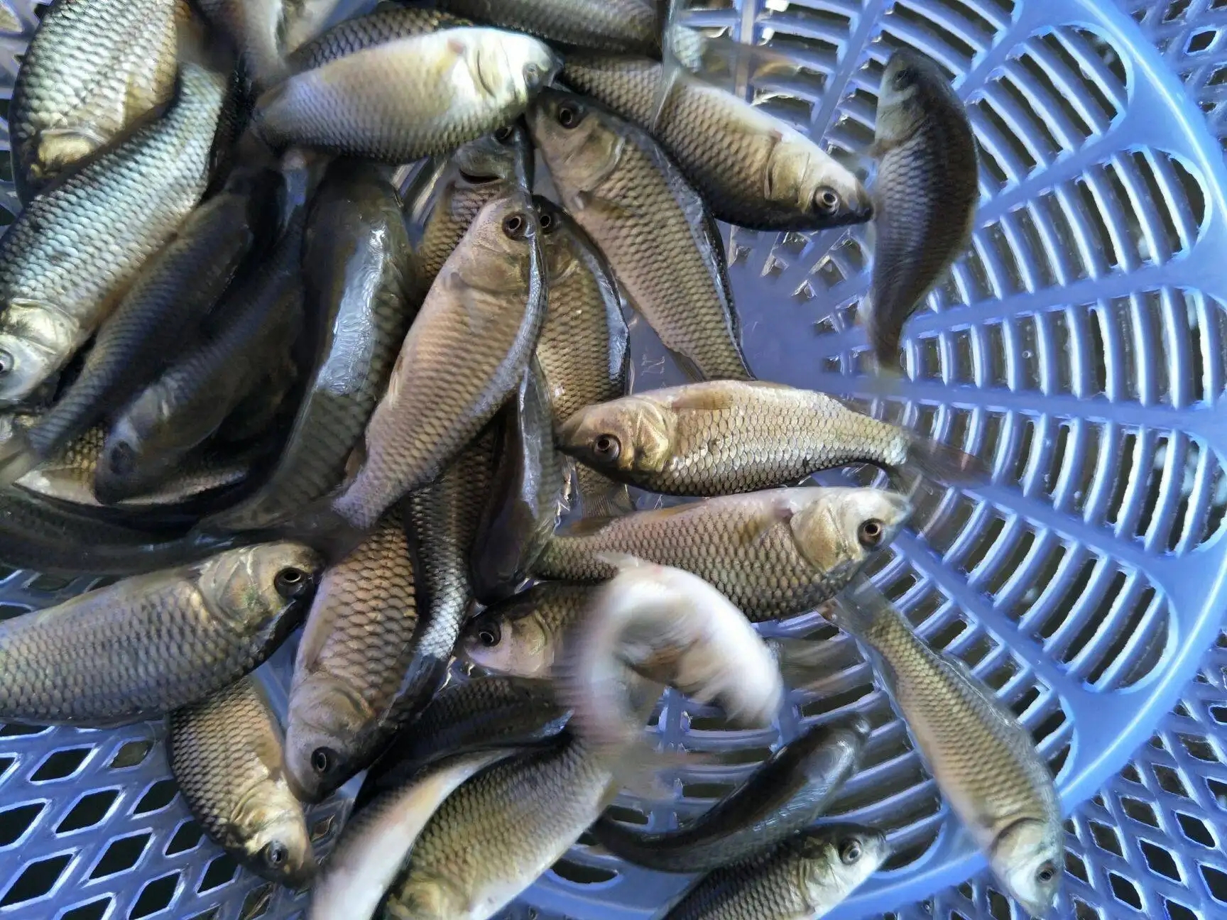 ���~(y��)�~(y��)��