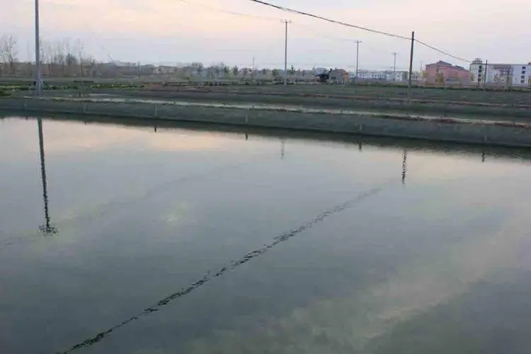 �B(y��ng)ֳ����