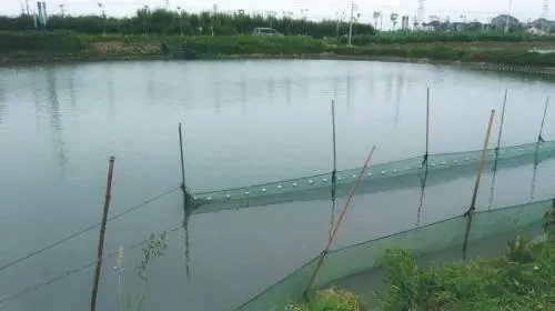 �B(y��ng)ֳ����