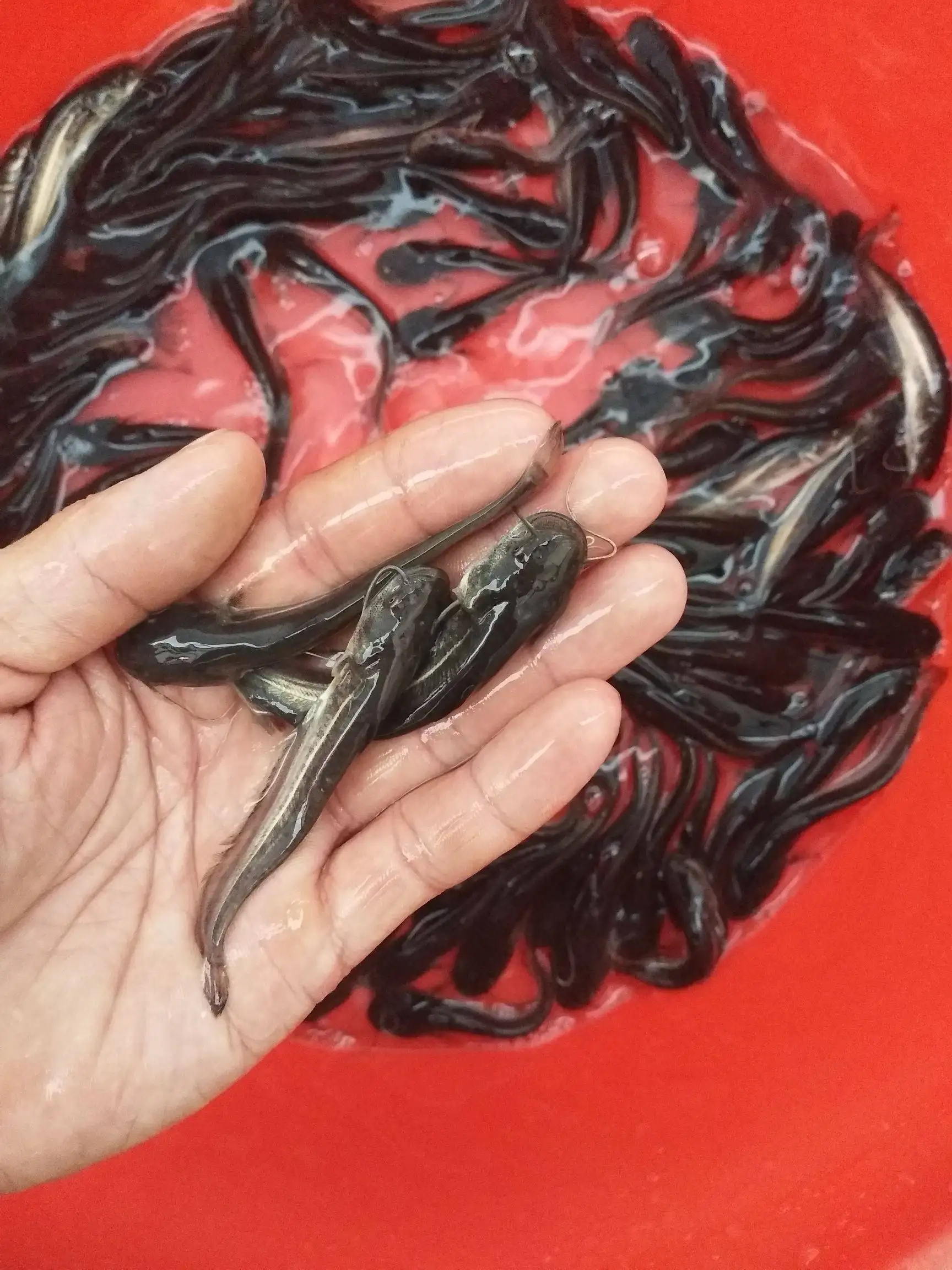 ���~�~��